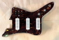 Click for large photo of Eko Gold Foil pickguard